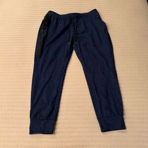 American Eagle Outfitters Navy Joggers with Black Accents